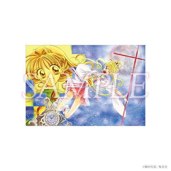 グッズ情報 | 種村有菜 30周年記念展 きらめく少女たちの夢物語